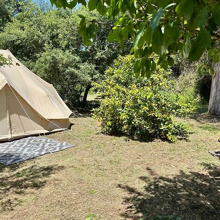 Giant Canvas Rental Tent Agro-Turismo Quinta Da Fonte Figueiro Dos Vinhos Zewnętrze zdjęcie