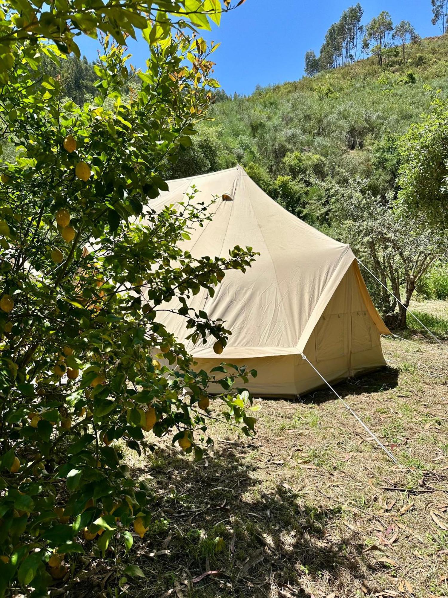 Giant Canvas Rental Tent Agro-Turismo Quinta Da Fonte Figueiro Dos Vinhos Zewnętrze zdjęcie